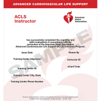 ACLS Instructor eCard