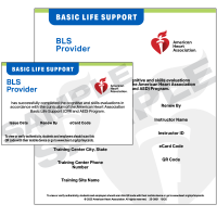 Load image into Gallery viewer, AHA HeartCode BLS Online Course w/eCard