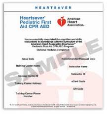 AHA Heartsaver Pediatric CPR First Aid CPR AED eCard